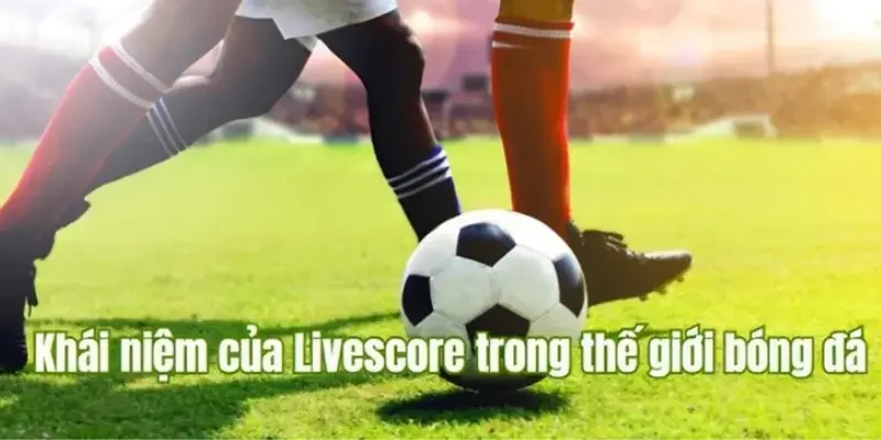Các tính năng nổi bật của Livescore Cakhia