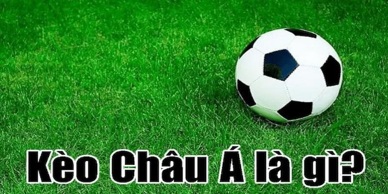 Tỷ lệ kèo châu Á Vai trò của tỷ lệ kèo châu Á trong cá cược
